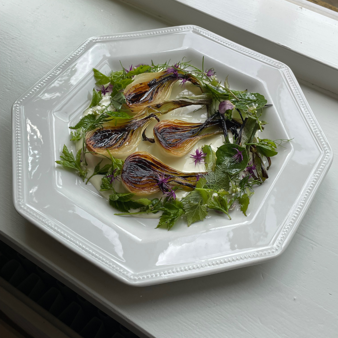Grillede nye løg med løg blanquette, syltet hyldeblomst og urtesalat